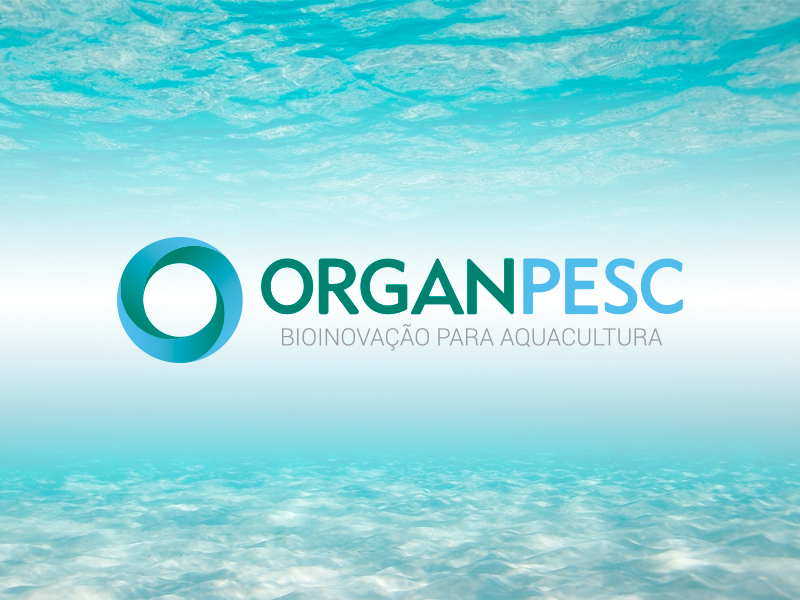 Logo Organpesc