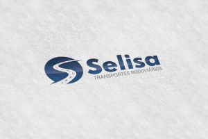 Selisa Transportes